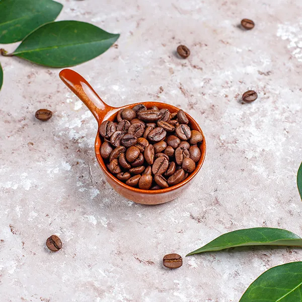 Jakie właściwości ma kawa Coffea arabica? | Botaniki