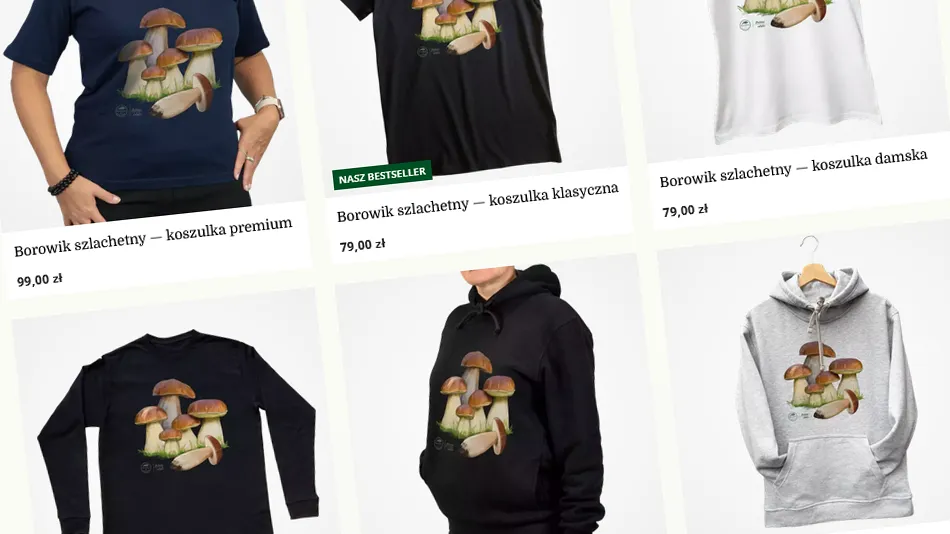 Koszulki z borowikiem | Botaniki