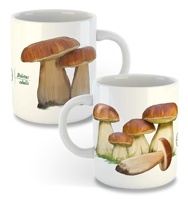Kubek z borowikiem, prezent dla grzybiarza | Botaniki