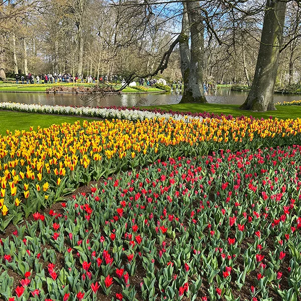 Historia Keukenhof | blog botaniki