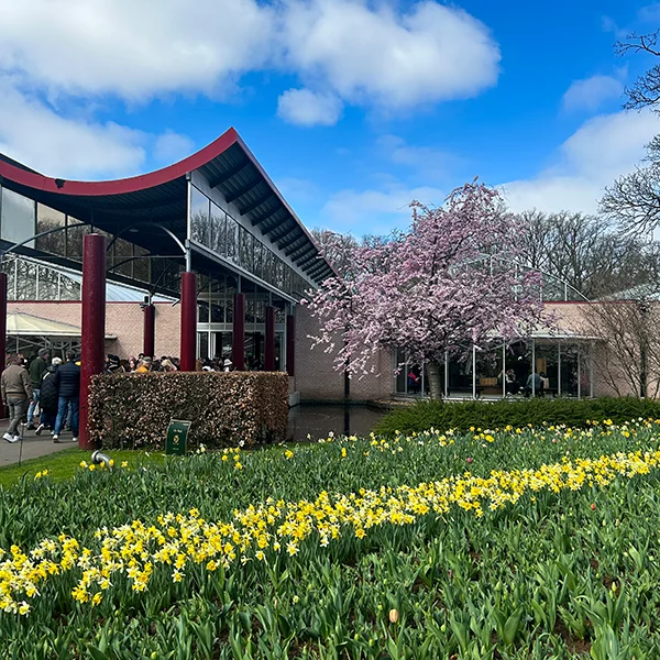 Keukenhof dla dzieci: Zabawa i odkrywanie | blog botaniki