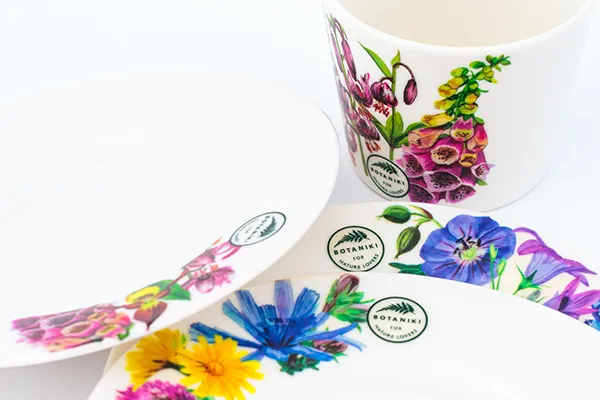 Filiżanki ze spodkiem botaniki