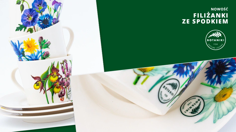 Ceramiczne filiżanki ze spodkiem z roślinnymi ilustracjami