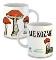 Klasyczny